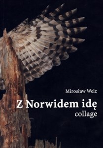 Bild von Z Norwidem idę