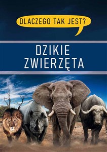 Obrazek Dlaczego tak jest? Dzikie zwierzęta