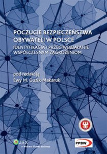 Obrazek Poczucie bezpieczeństwa obywateli w Polsce Identyfikacja i przeciwdziałanie współczesnym zagrożeniom