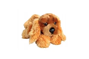 Bild von Spaniel 30cm
