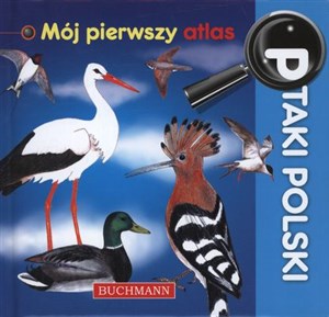 Obrazek Ptaki Polski Mój pierwszy atlas