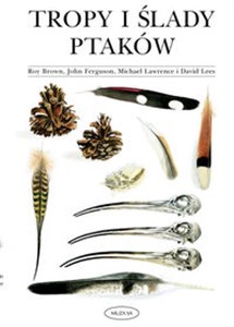 Obrazek Tropy i ślady ptaków