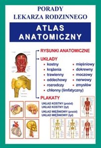 Bild von Atlas anatomiczny Porady Lekarza Rodzinnego 173