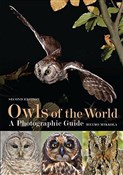Polska książka : Owls of th... - Heimo Mikkola
