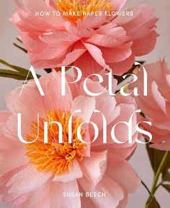 Obrazek BEECH, S: PETAL UNFOLDS