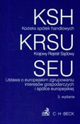 Polnische buch : Kodeks spó...