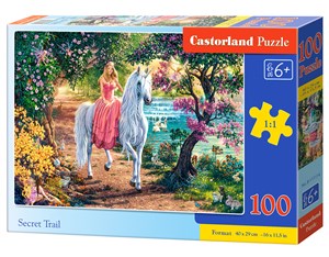 Bild von Puzzle Secret Trail 100 B-111114