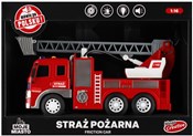 Polnische buch : Auto Straż...