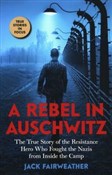 Polska książka : A Rebel in... - Jack Fairweather