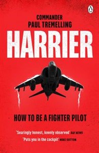 Bild von Harrier: How To Be a Fighter Pilot