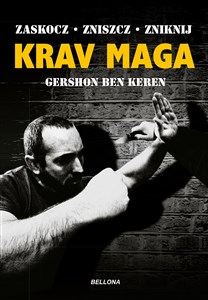 Bild von Krav Maga