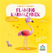 Flaming Ka... - Anna Prudel -  Książka z wysyłką do Niemiec 