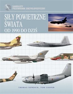 Bild von Siły powietrzne świata Od 1990 do dziś