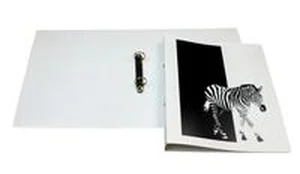 Obrazek Segregator PP A4 biały Zebra