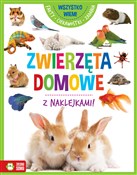Polska książka : Wszystko w... - Opracowanie Zbiorowe