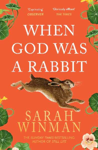Bild von When God Was a Rabbit