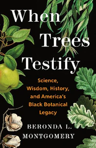 Obrazek MONTGOMERY, B: WHEN TREES TESTIFY
