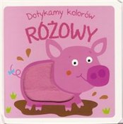 Polska książka : Dotykamy k...