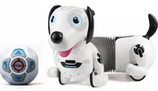 Polnische buch : Robo Dacke...