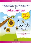 Polska książka : Nauka pisa... - Beata Guzowska