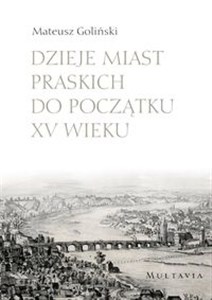 Obrazek Dzieje miast praskich do początku XV wieku
