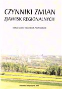 Zobacz : Czynniki z... - red. Vojtech Jurk, Paweł Dziekański