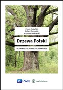 Drzewa Pol... - Paweł Zarzyński, Robert Tomusiak, Krzysztof Borkowski - buch auf polnisch 