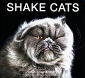 Shake Cats... - Carli Davidson -  Książka z wysyłką do Niemiec 