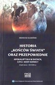 Polska książka : Historia k... - Ireneusz Kamiński