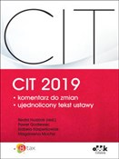 CIT 2019 k... - Paweł Godlewski, Izabela Kasperkowiak, Magdalena Mucha -  fremdsprachige bücher polnisch 