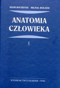 Obrazek Anatomia człowieka