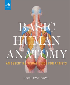 Obrazek OSTI, R: BASIC HUMAN ANATOMY