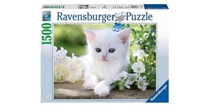 Bild von Puzzle Biały kotek 1500
