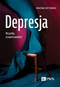 Polnische buch : Depresja W... - Jonathan Rottenberg