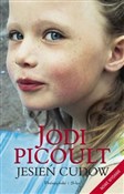 Jesień cud... - Jodi Picoult -  polnische Bücher