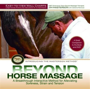 Obrazek Beyond Horse Massage Wall Chart