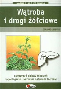 Bild von Wątroba i drogi żółciowe