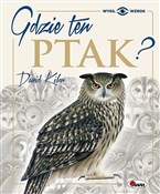 Gdzie ten ... - Dawid Kilon -  polnische Bücher