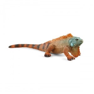 Obrazek Iguana SLH14854