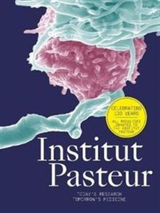 Obrazek Institut Pasteur