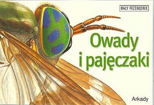 Bild von Owady i pajęczaki Mały przewodnik