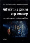 Restruktur... - Anna Fornalczyk, Jerzy Choroszczak, Marek Mikulec - buch auf polnisch 