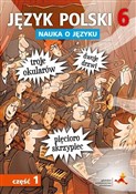 Język Pols... - P. Borys, A. Halasz -  fremdsprachige bücher polnisch 