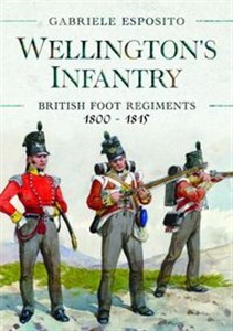 Bild von Wellington's Infantry British Foot Regiments 1800-1815