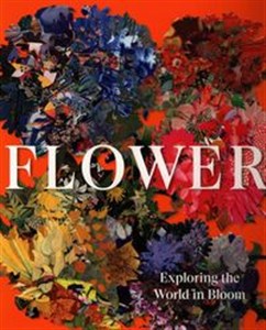 Obrazek Flower Exploring the World in Bloom