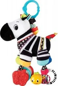 Obrazek Sensory Zebra