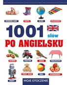 1001 słów ... - Laura Aceti -  polnische Bücher