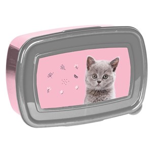 Bild von Śniadaniówka Cat PP24CT-3022