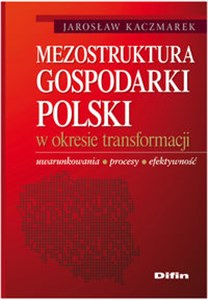 Bild von Mezostruktura gospodarki Polski w okresie transformacji Uwarunkowania, procesy, efektywność