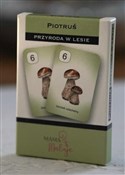 Karty Piot... -  fremdsprachige bücher polnisch 